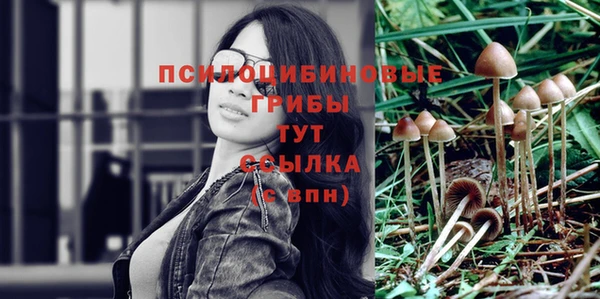 гидропоника Верхнеуральск