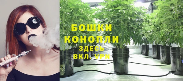 ALPHA PVP Рославль