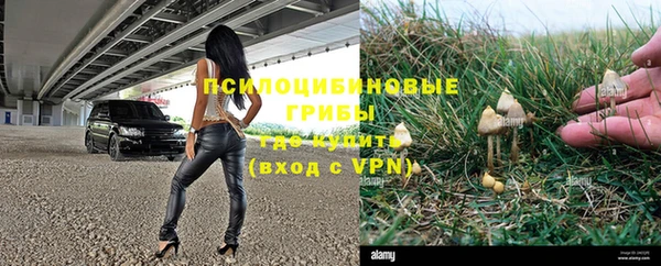 твердый Верея