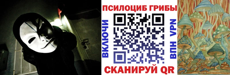 цены наркотик  Троицк  Псилоцибиновые грибы ЛСД 